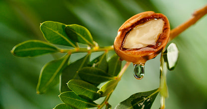 Okinawa Dream Conditioner