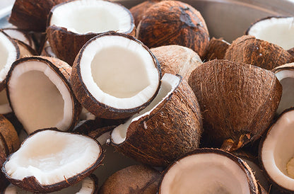 Okinawa Dream Conditioner